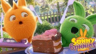 Videos For Kids | Sunny Bunnies -  FUNNY BEHIND THE SCENES | SEASON 2 | Sunny Bunnies Special