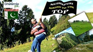 MushkPuri Mountain | Amazing Hiking Place in Pakistan