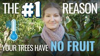 Winter Nap? Nope! Fruit Tree CHILL HOURS Explained