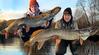 We found them - Float fishing Deadbaits for pike