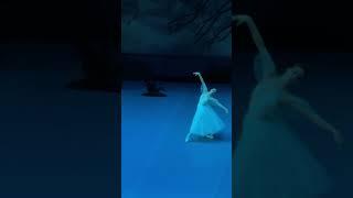 “Жизель» Элеонора Севенард 17.01.24 #bolshoitheatre #balet #balerina #classicalballet #gizelle