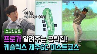 좋은 스코어를 얻기 위한 프로의 공략! / 케슬렉스 제주GC 이스트코스 공략법/ 프로 스윙 / 드라이버 스윙 / 스크린 골프/ 김태훈프로