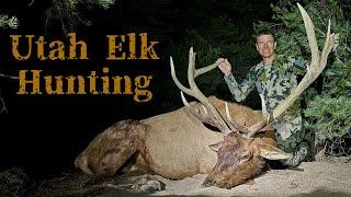 Utah Rifle Elk Hunting 2024 Limited Entry Hunt Success!