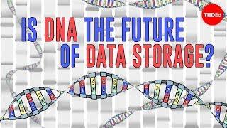 Is DNA the future of data storage? - Leo Bear-McGuinness