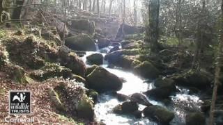 Cornwall Wildlife Trust Nature Reserves