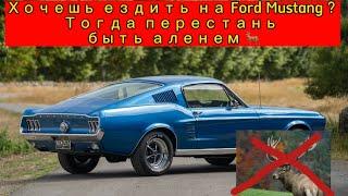 Аленизм. Пролактин. Мужское движение. Как я прозрел за 5 минут благодаря Ford Mustang  ? Очнитесь