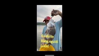 Catch big drum 2kg