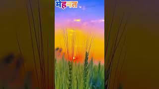 #manmauji song WhatsApp status #angraj #paswan Bhojpuri_ song WhatsApp status