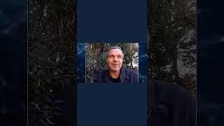 Трамп пудрит мозги своим избирателям