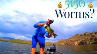 Fishing Saguaro Lake I 5150 Worms I LAKE is on FIRE (Part I)