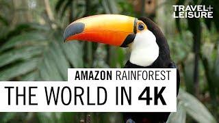 Amazon Rainforest | The World in 4K | Travel + Leisure