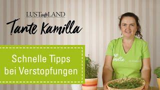 Tante Kamilla   Schnelle Tipps bei Verstopfungen