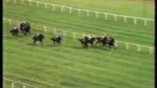 John Henry winning 1981 Arlington Million