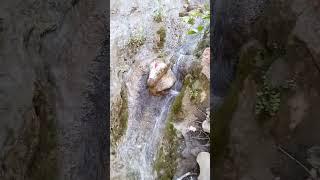 gaymukh fountain, Chalisgaon forest