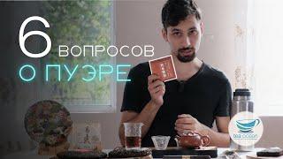 ПУЭР: Вкус, Эффект, Цена, Заваривание — БЫСТРО и ЧЁТКО отвечаем на популярные вопросы