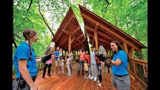 Experience the Ohio Bird Sanctuary for birds, hiking, and a treehouse classroom accessible to all.