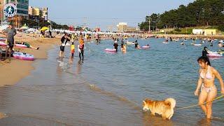 [4K UHD] Beautiful Songjeong Beach in Busan with a lot of people on a perfect sunny day 송정해수욕장