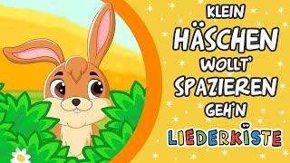 Klein Häschen wollt' spazieren gehn - Kinderlieder zum Mitsingen | Liederkiste