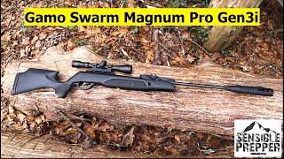 Gamo Swarm Magnum Pro Gen3i 10X Air Rifle Review : Excellent SHTF Choice