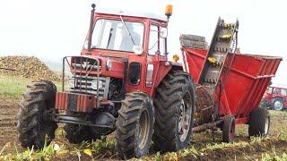 Special Built Massey Ferguson 178 4WD Tractor Harvesting Beets