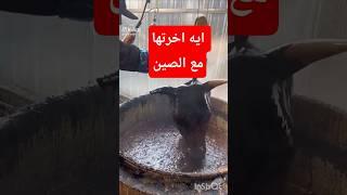 عجائب وغرائب الصين مادة معجزة