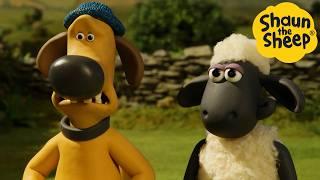 Panic at the Barn  Shaun the Sheep - Cartoons for Kids  Full Episodes Compilation [1 hour]