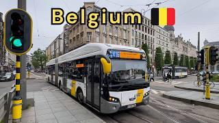 Buses in Belgium: Brussels and Antwerp  | 2024