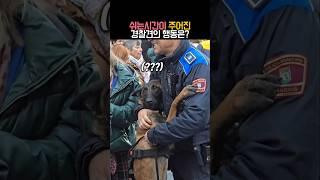 쉬는시간이 주어진 경찰견의 행동은? #동물 #강아지 #개 #감동