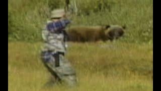 Monster Grizzly Shot Between the Eyes With a Bow