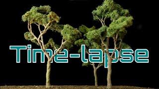 Mastering the Art of making Super Realistic Model Wire Trees (Time-lapse)