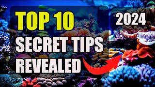 TOP 10 Tips for Starting a Saltwater Aquarium in 2024