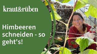 Himbeeren schneiden | Mit diesem Trick ist es egal, ob Sommerhimbeere oder Herbsthimbeere