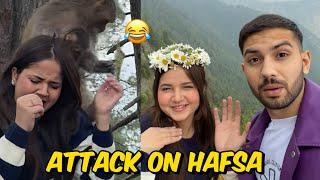 Monkey ne attack kardiya achanak Hafsa Pareshaan hogayi