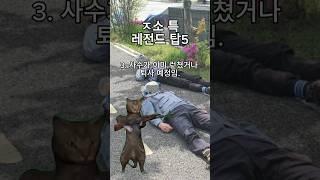 ㅈ소 특 레전드 탑5