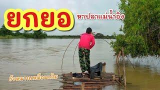 ยกยอ น้ำนองมาอีกแล้ว ►Fishing lifestyle Ep.776