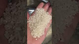 4in1 Multiple purpose Rice mill + grinder machine Email -  punjabei@gmail.com