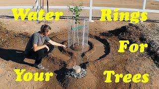 The BEST Way to Water Fruit Trees in the Desert!