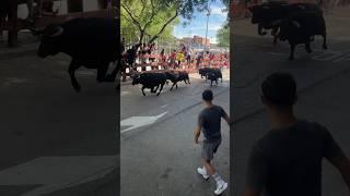 Encierro Torrejón de Ardoz 22/06/24