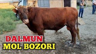 What Is JONDOR DALMUNDAGI JUMA MOL BOZORI BOQILGAN BUQA VA BOQILGAN GʻUNAJIN NARXLARI?