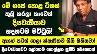 මේ ගසේ කොළ ටිකක් කුඩු කරලා කෑවෙත් දියවැඩියාව සදහටම මට්ටුයි! - ඇගේ පටස් ගාලා ක්ෂණිකව සීනි බහිනවා!