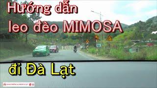 Leo đèo Mimosa đi Đà Lạt | Hướng dẫn lái xe | Học lái xe không khó | Giao thông và Pháp luật #77
