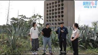 신박한 진먼 여행 타이완과 중국 사이, 역사에서 찾은 진먼 사람의 정체성 (1/3)