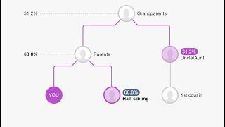 Newest MyHeritage DNA Tool is NOT Something to Miss!