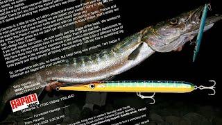 Rapala reagiert auf mein Flash-X-Skitter Video!