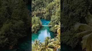 You arrive in Sulawesi, where do you go first?  #sulawesi #travelshorts #beautifulnature