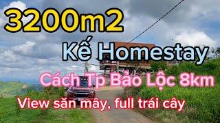#100 Bán Lô Đất View Săn Mây Lộc Thành đối diện khu homestay 3200m2 cách Bảo Lộc 8km 0901971671