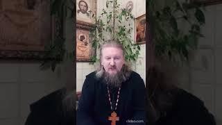 "Закон-что бы люди не стали бесами" Иерей Александр Виолин