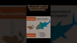 Question of The Day | Bioaccumulation | Shivangi Gautam #shorts #upsccse