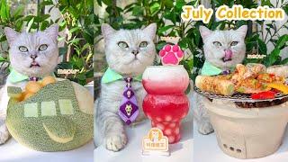 Enjoy The Chef Cat’s July Recipes (ASMR) | Cat Cooking Food | Milktea&Fruit Desserts And So On