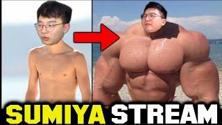 From Disaster Start to 1v4 Raid Boss | Sumiya Stream Moments 4221